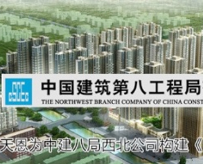 中建八局构建EPM企业项目管理平台